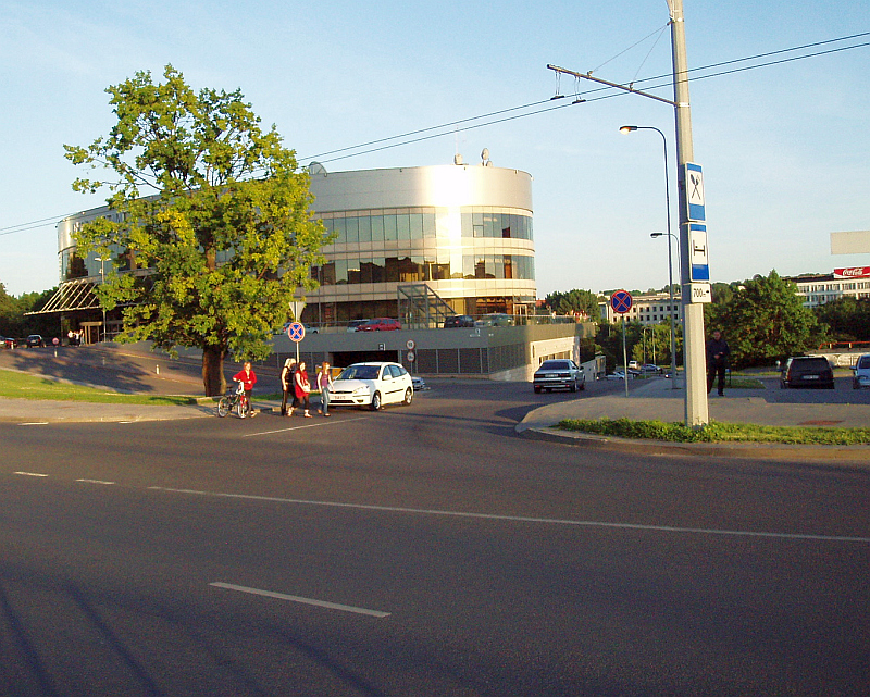 20110114-pesciuju-pereja-konstitucijos-02.jpg