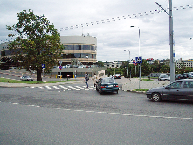 20110114-pesciuju-pereja-konstitucijos-05.jpg